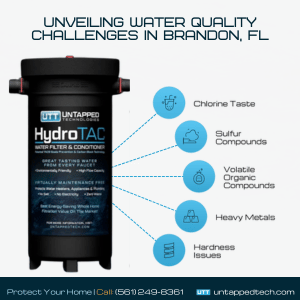 whole house water filtration system supplier brandon fl